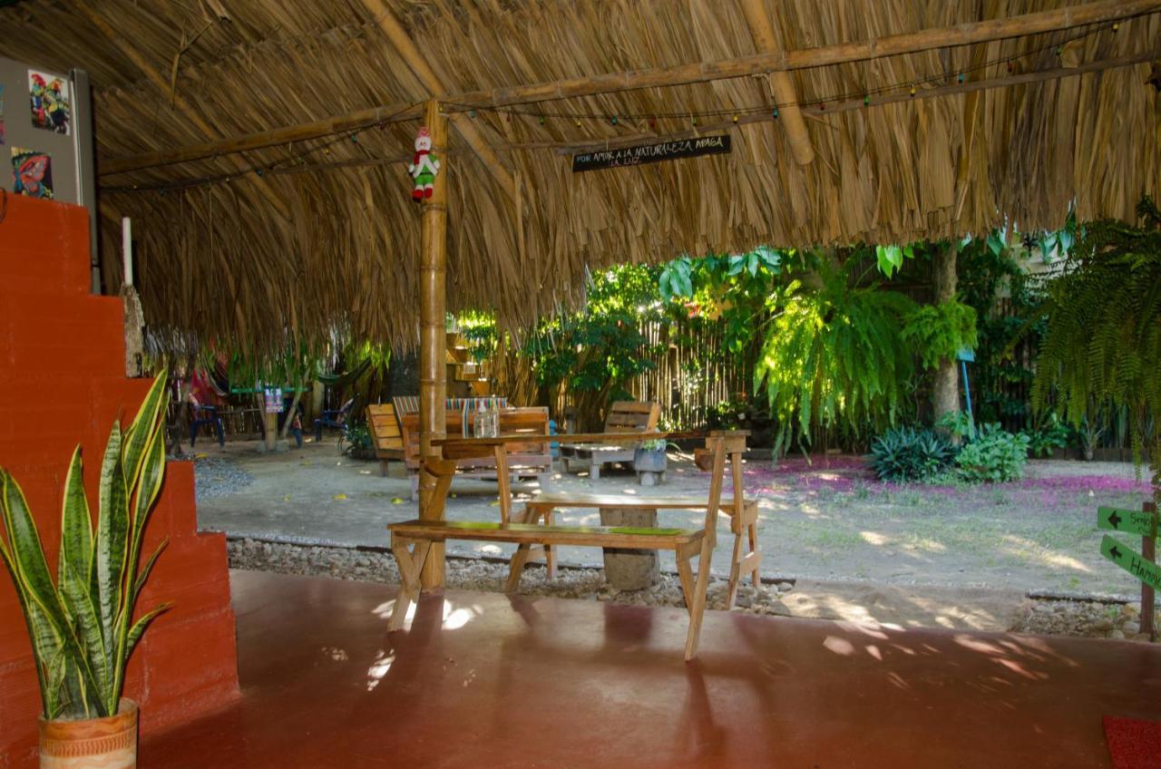 Hostal Corazon De Tagua Palomino Bagian luar foto