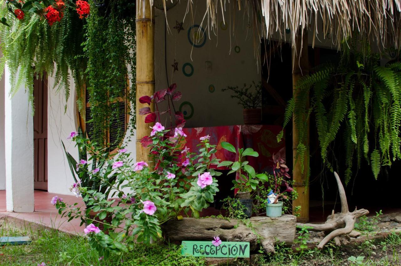 Hostal Corazon De Tagua Palomino Bagian luar foto