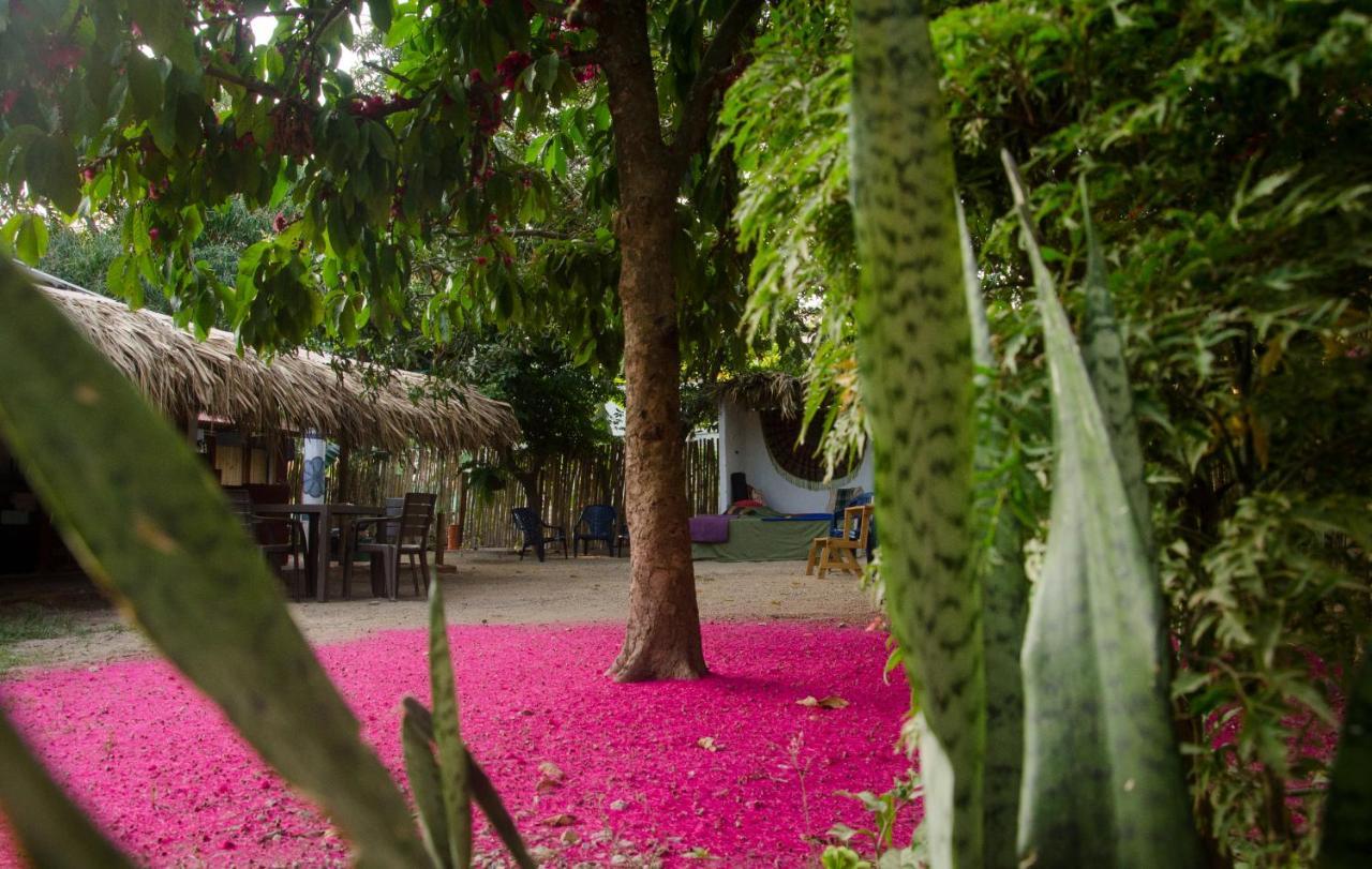 Hostal Corazon De Tagua Palomino Bagian luar foto