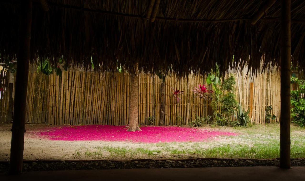 Hostal Corazon De Tagua Palomino Bagian luar foto
