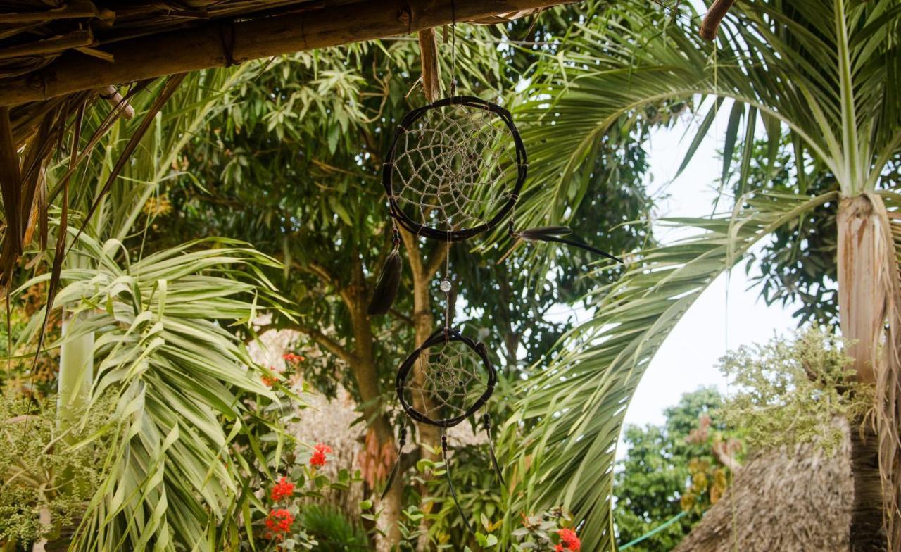 Hostal Corazon De Tagua Palomino Bagian luar foto