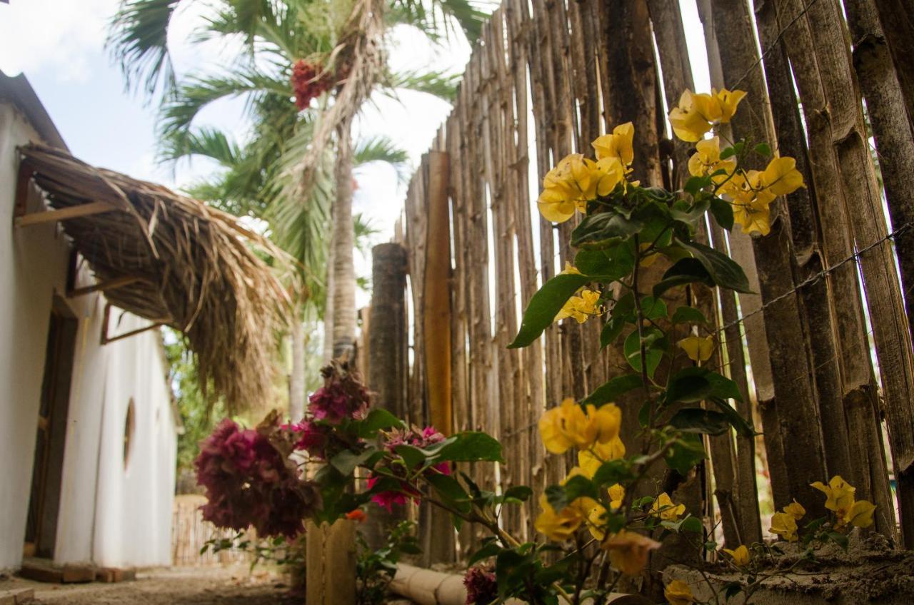 Hostal Corazon De Tagua Palomino Bagian luar foto