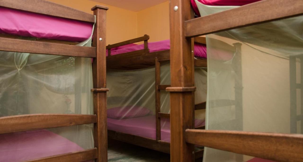Hostal Corazon De Tagua Palomino Bagian luar foto