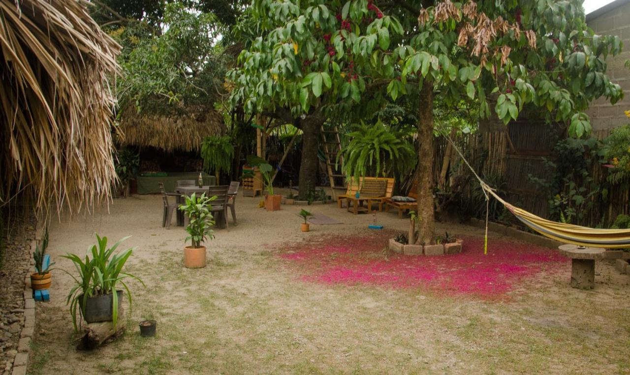 Hostal Corazon De Tagua Palomino Bagian luar foto