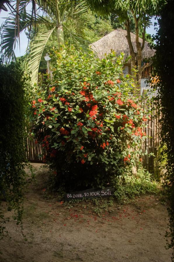Hostal Corazon De Tagua Palomino Bagian luar foto
